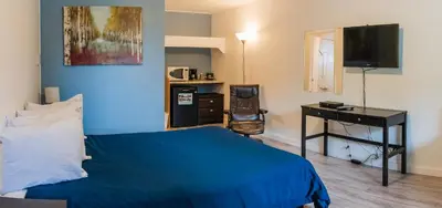 a bedroom with a bed and a desk and a television at Lakeview Motel in Christina Lake