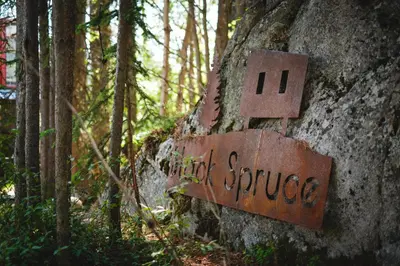 a sign on the side of a rock in the woods at Black Spruce - Orange Door in Whitehorse