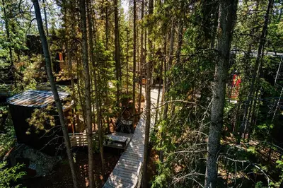 a wooden boardwalk in the woods with a cabin at Black Spruce - Orange Door in Whitehorse