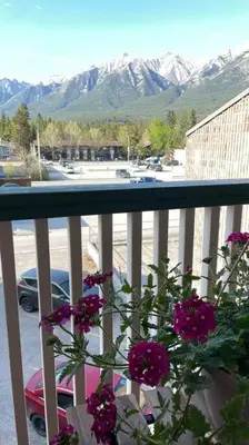a balcony with purple flowers and a view of a parking lot at unit #303 Mountain view 1BR in Canmore DownTown in Canmore