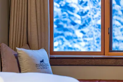 a room with a window and a pillow on a bed at Copper Horse Lodge in Golden