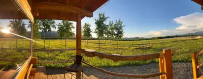 a hammock in front of a field of grass at Oma's and Opa's Northern Lights Viewing Cabin in Whitehorse