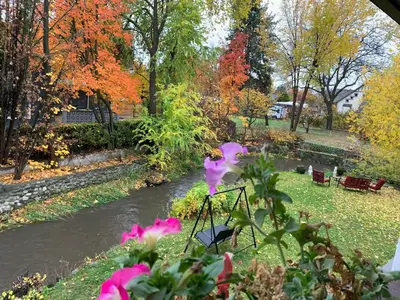 a view of a river in a park with flowers at Kelowna little Island near Downtown, lake, hospital and Okanagan Collage in Kelowna