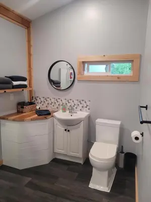 a bathroom with a toilet and a sink and a mirror at Wells Gray Stay And Play in Clearwater