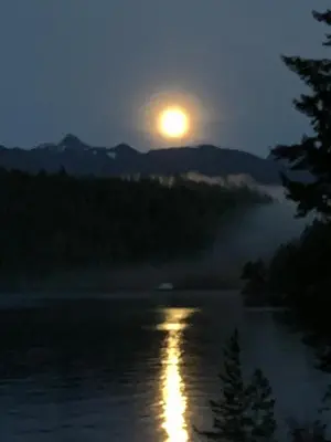 a full moon rising over a river at night at Earls Cove Orca View in Egmont