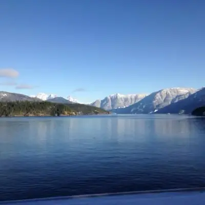 Earls Cove Orca View