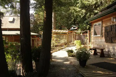 a backyard with a fence and a bench and trees at Thistle Dew Cottage in Ganges