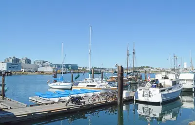 a group of boats docked at a dock in the water at Be Close To Chinatown When You Are In The Ironwork Building in Victoria