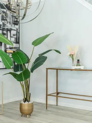 a plant in a vase next to a table at 3bedroom Stylish Getaway by the Park with 2-Car Garage in Calgary