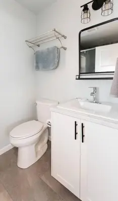 a bathroom with a toilet and a sink and a mirror at RainCoast Retreat at Shawnigan Lake! in Shawnigan Lake