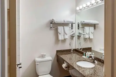 a bathroom with a toilet and a sink and a mirror at Quality Inn & Suites Edmonton International Airport in Leduc