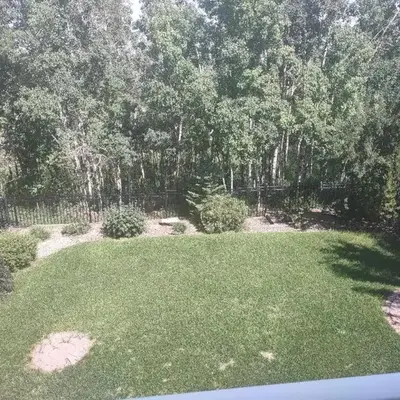 Spacious One Bedroom Walkout Basement Suite