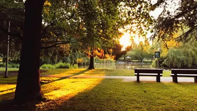 two park benches in a park with the sun setting at Rose Garden Vacation Studio in Richmond