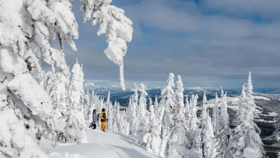 a group of people skiing down a snow covered mountain at Echo Landing #13 condo in Sun Peaks