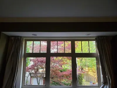 a window with a view of a tree at Elegant, Sunny Modern Home with Skylights - Kitsilano, Vancouver in Vancouver