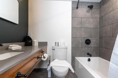 a bathroom with a white toilet and a bath tub at Northwinds Hotel Revelstoke in Revelstoke