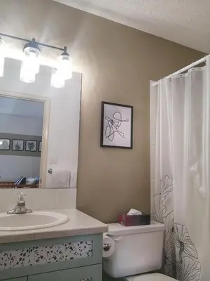 a bathroom with a toilet and a sink and a mirror at Bright 3 bed 3 bath House in Radium Hot Springs in Radium Hot Springs