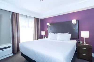 a bedroom with a large bed and a purple wall at Sandman Signature Kamloops Hotel in Kamloops