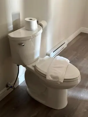 a white toilet with a roll of toilet paper on it at City Centre Motel II in Hope