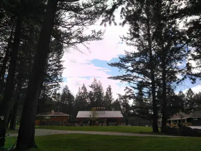 a park with trees and a building in the background at Fairmont Mountain Bungalows in Fairmont Hot Springs