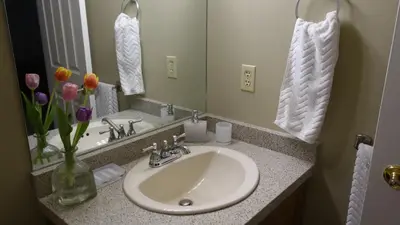 a bathroom with a sink and a mirror and flowers at Window Hill in St. Albert