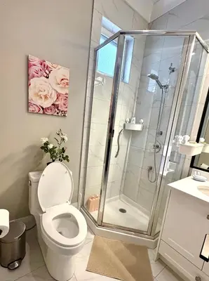 a bathroom with a shower and a toilet at Richmond Sweet home in Richmond