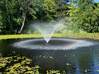 a fountain in the middle of a pond at 2BR 1.5BA Full Kitchen Private Guest House - Free Parking - Central Location in Vancouver