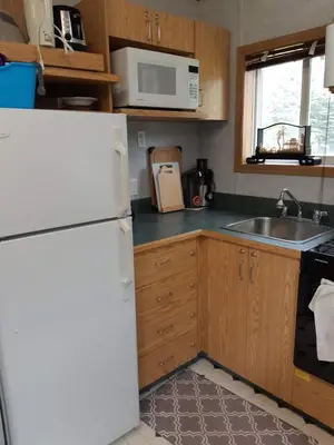 a kitchen with a white refrigerator and a sink at Peace and Quiet in Lac La Biche