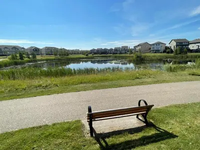 a park bench sitting on the grass near a lake at The Cozy Cove - Modern Private Basement Suite with Comfort & Charm, Free Parking, WiFi, Netflix Close to airport & 18 minutes to West Edmonton Mall in Edmonton