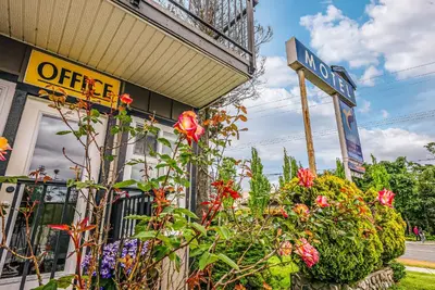 a street sign and flowers in front of a store at Bluebird Motel in Nanaimo