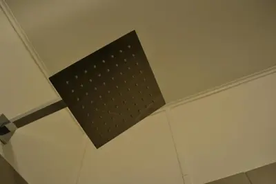 a ceiling light with a black fixture on a ceiling at St. Paul Lodge in St. Paul