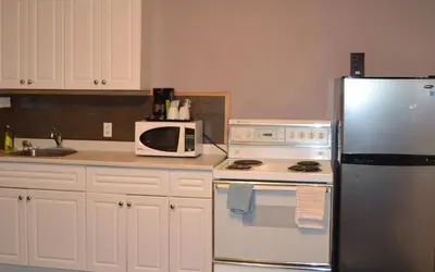 a kitchen with a refrigerator and a microwave at St. Paul Lodge in St. Paul