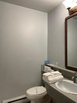a bathroom with a toilet and a sink and a mirror at Nechako Valley Inn in Vanderhoof