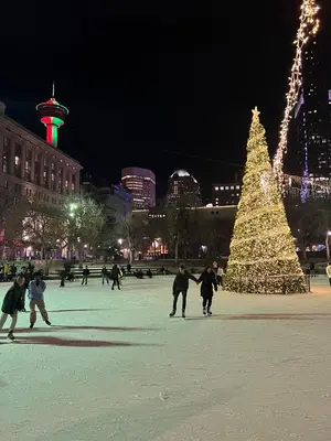 a group of people skating around a christmas tree at Lovely comfy home private bath in central Calgary in Calgary