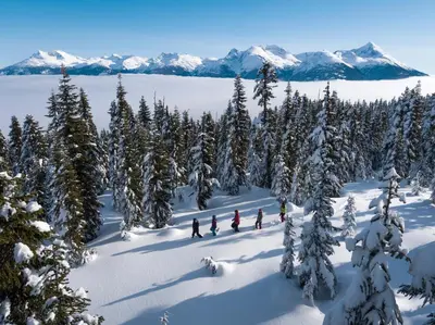 a group of people skiing in the snow with snow covered trees at 3BR and Den in Gleneagle, Wood Burning Fireplace, Heated Flooring, Secure Parking in Whistler