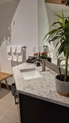 a bathroom with a sink and a potted plant on a counter at Five Star-Amazing views and Hot Tub in Crescent Valley