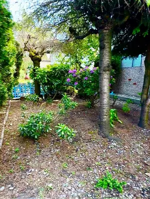 a garden with flowers and a tree and a bench at Good Old Days Main Retro in Vancouver