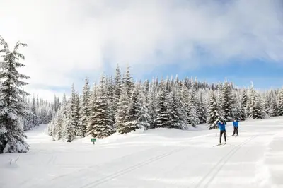 two people skiing in the snow in front of trees at Powder Heights #18 townhouse in Sun Peaks