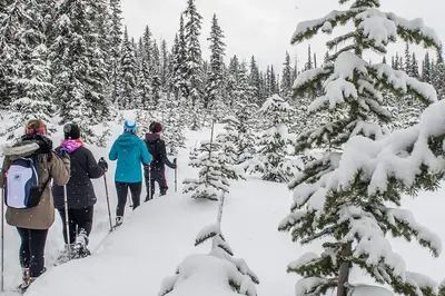 a group of people cross country skiing in the snow at Luxury Aspens 2 Bdrm Condo with Best Views in Big White