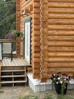 a log cabin with a window and a wooden wall at Cabins Over Crag Lake in Carcross