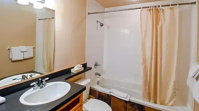 a bathroom with a sink and a toilet and a shower at Polar Peak Chalet by Fernie Lodging Company in Fernie