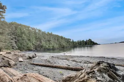 a beach with logs on the shore of a river at Grey Whale, Pet Friendly Studio at The Beach in Ucluelet