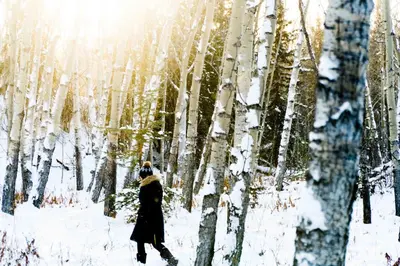 a woman walking through a snow covered forest with trees at Boreale Ranch in Carcross