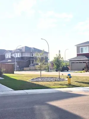 a yellow and blue fire hydrant in a yard with houses at Cozy Basement Suite - private entrance - Free Netflix in Edmonton