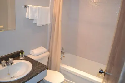 a bathroom with a sink and a toilet and a shower at The Mighty Fraser Motel in Boston Bar