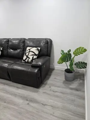 a black leather couch in a living room with a plant at Cozy One bedroom BSMT Apartment in Edmonton