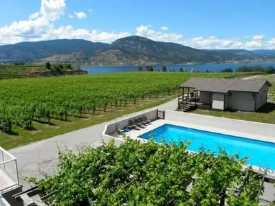an overhead view of a swimming pool next to a vineyard at D'Angelo Winery Farm House in Penticton