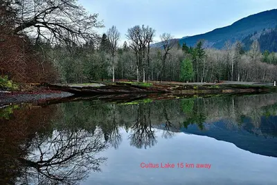a body of water with trees and mountains in the background at Spacious 2BR Near HWY 1-Heritage Park - Cultus Lake -Fishing! in Chilliwack