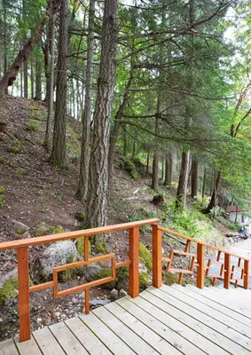 a wooden boardwalk in a forest with trees at Sungate on Salt Spring - Luxurious Suite with Cedar Hot Tub & View in Salt Spring Island