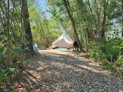 a white tent in the middle of a forest at #Y2 Sage & Wildflower Yurt in Drumheller